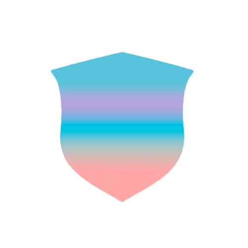 ESCUDO DTF